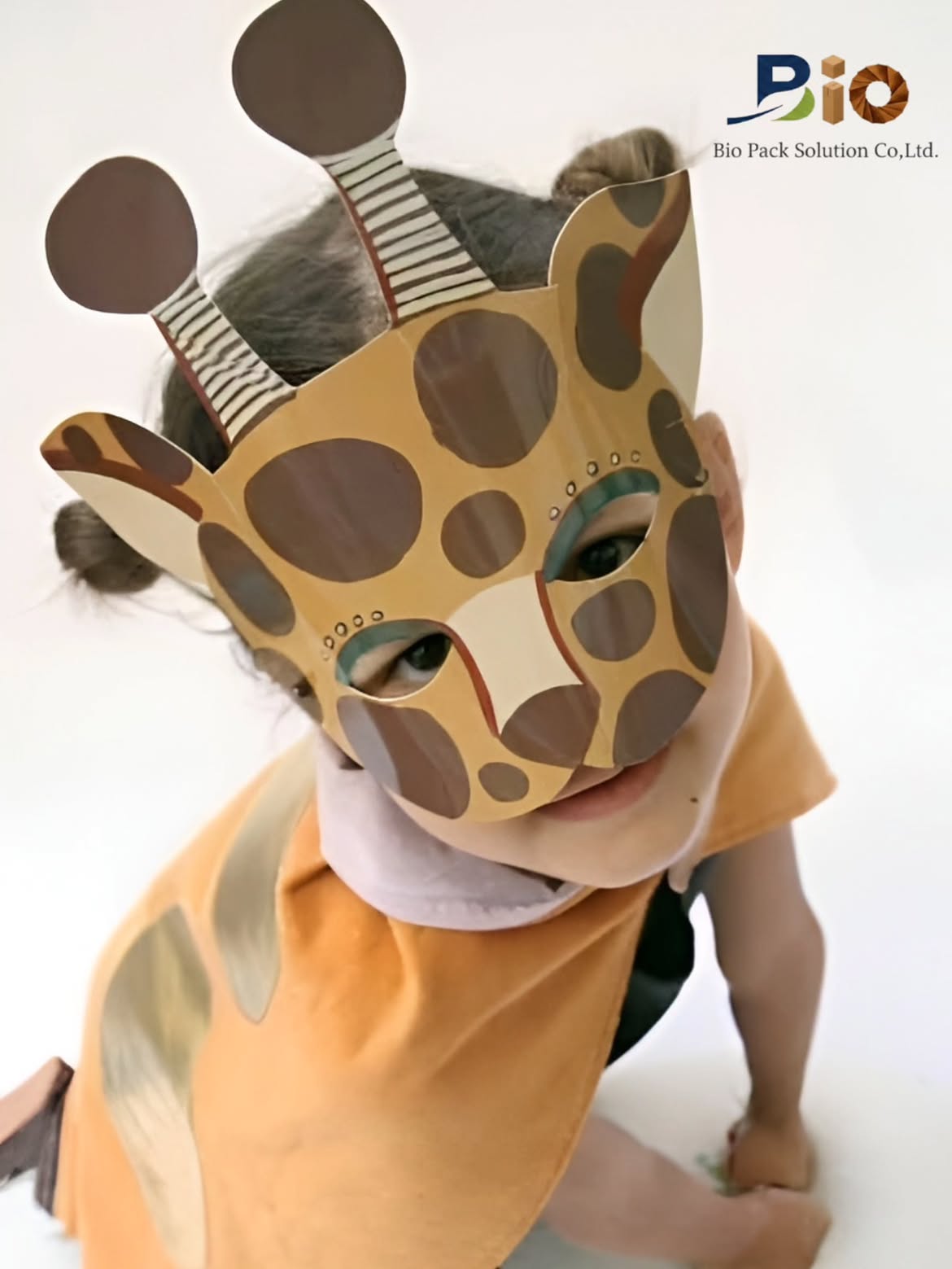แผ่นลูกฟูก 4|Cardboard Sheet 4